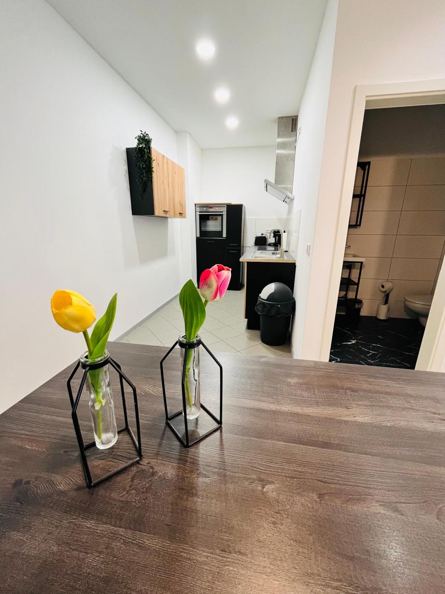 Apartment Central 10D 55Qm Wi-Fi Free Parking Calm Back House Dortmund Eksteriør bilde